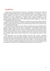 Ar laimė galima? 9 puslapis