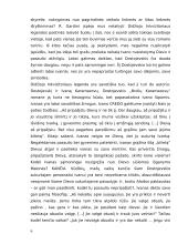 Legendos "Didysis inkvizitorius" prasmė 5 puslapis