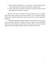 Lietuvos Banko veiklos pagrindai 12 puslapis