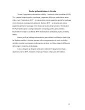 Lietuvos BVP kitų ES šalių kontekste 13 puslapis