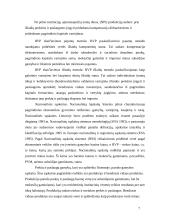 Lietuvos BVP kitų ES šalių kontekste 7 puslapis