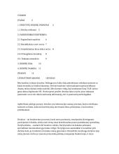 Pasirengimas efektyvioms deryboms