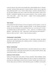 Lietuvos delegacijos į Suomiją vizitų vadyba 11 puslapis