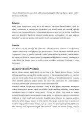 Lietuvos delegacijos į Suomiją vizitų vadyba 12 puslapis