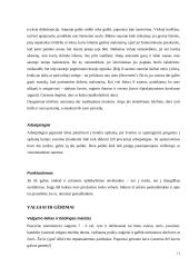 Lietuvos delegacijos į Suomiją vizitų vadyba 13 puslapis