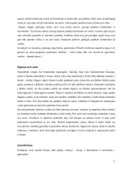 Lietuvos delegacijos į Suomiją vizitų vadyba 15 puslapis