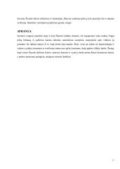 Lietuvos delegacijos į Suomiją vizitų vadyba 17 puslapis