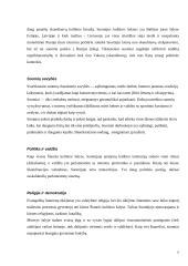 Lietuvos delegacijos į Suomiją vizitų vadyba 6 puslapis