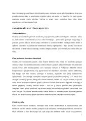 Lietuvos delegacijos į Suomiją vizitų vadyba 7 puslapis