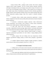 Lietuvos ir Europos Sąjungos (ES) santykiai asociacijos su Europos Sąjunga laikotarpiu (1995-2000) 7 puslapis