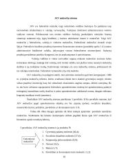 Lietuvos ir Jungtinių Amerikos Valstijų (JAV) pelno mokesčio panašumai ir skirtumai 18 puslapis
