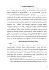 Lietuvos ir Slovakijos pagrindiniai makroekonominiai rodikliai 4 puslapis