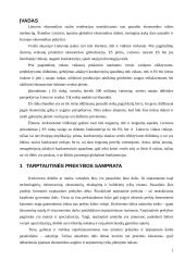 Lietuvos prekyba su Europos Sąjunga (ES) 2 puslapis