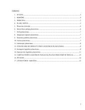 Logistikos planavimas 2 puslapis