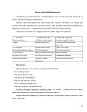 Logistikos planavimas 11 puslapis