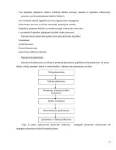 Logistikos planavimas 12 puslapis