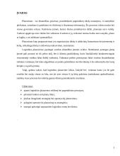 Logistikos planavimas 3 puslapis