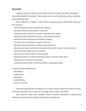 Logistikos planavimas 4 puslapis