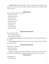 Logistikos planavimas 7 puslapis