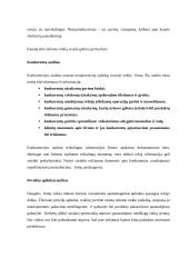 Logistikos sistemos analizė, planavimas ir įdiegimas 13 puslapis