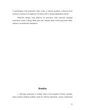 M. Weber "Protestantiškoji etika ir kapitalizmo dvasia" 13 puslapis