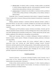 Marketingo kompleksas internete 11 puslapis
