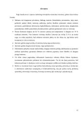 Marketingo kompleksas internete 12 puslapis