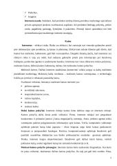 Marketingo kompleksas internete 4 puslapis