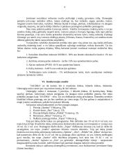 Marketingo planas: pramogų centras TŪB "Jaudra" 4 puslapis