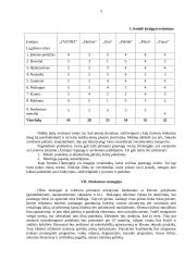 Marketingo planas: pramogų centras TŪB "Jaudra" 5 puslapis