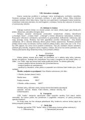 Marketingo planas: pramogų centras TŪB "Jaudra" 6 puslapis