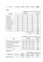 Marketingo planas: pramogų centras TŪB "Jaudra" 8 puslapis