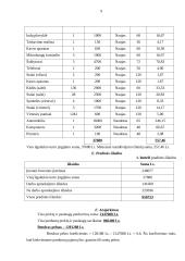 Marketingo planas: pramogų centras TŪB "Jaudra" 9 puslapis