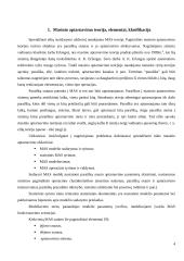 Masinio aptarnavimo sistemų projektavimas ir valdymas 4 puslapis