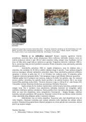 Pagrindiniai Saulės sistemos kūnai 15 puslapis