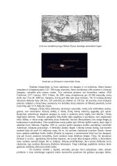 Pagrindiniai Saulės sistemos kūnai 3 puslapis