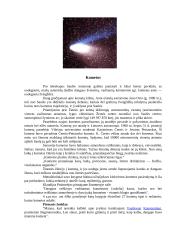 Pagrindiniai Saulės sistemos kūnai 5 puslapis