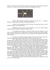 Pagrindiniai Saulės sistemos kūnai 10 puslapis