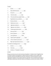 Stresas bei jo įveikimas