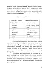 Migracija 2 puslapis