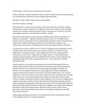 Temperamento analizė ir aprašymas