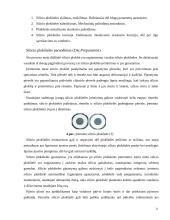 Mikroschemų korpusai tipai ir mikroschemų gamybos technologijos 10 puslapis