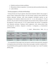 Mikroschemų korpusai tipai ir mikroschemų gamybos technologijos 13 puslapis