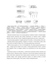 Mikroschemų korpusai tipai ir mikroschemų gamybos technologijos 7 puslapis