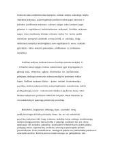 Vyresniųjų klasių mokinių asmenybės savybių vaidmuo priimant sprendimus