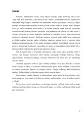 Maisto produktų derinimas 2 puslapis