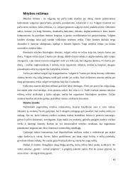 Maisto produktų derinimas 11 puslapis