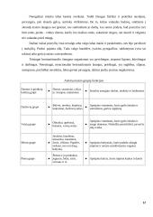 Maisto produktų derinimas 12 puslapis