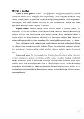 Maisto produktų derinimas 13 puslapis