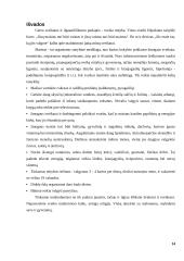 Maisto produktų derinimas 14 puslapis